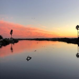 Meet your Posher, Claire